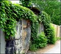How green is your alley? ( green  out take 2)