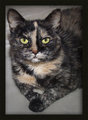 portrait6.jpg