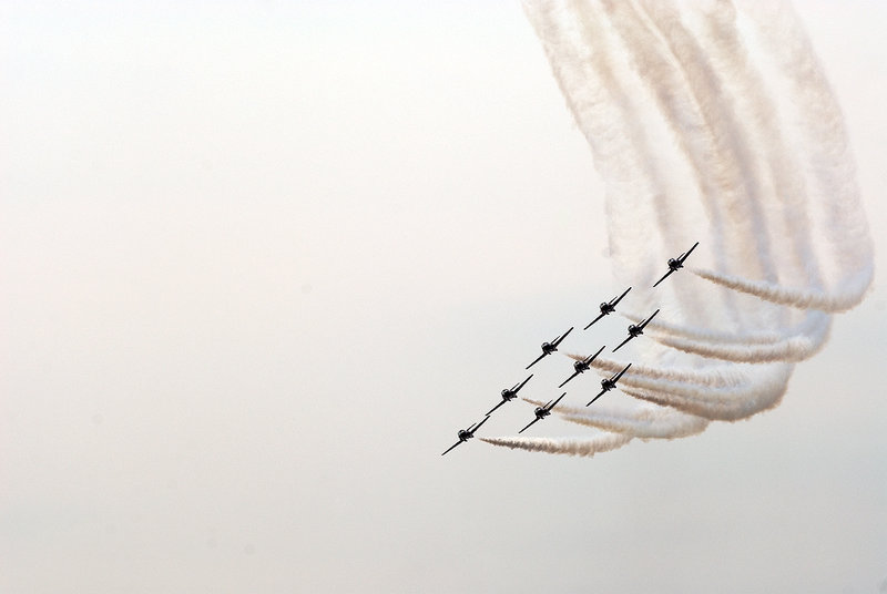 Snowbirds