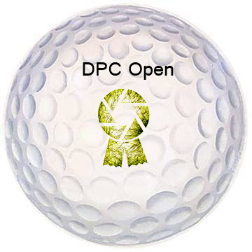 DPC-Open-Yellow.jpg