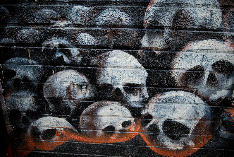 The Skulls