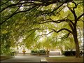 A Quiet Place