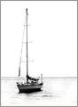 The Jolly Boat