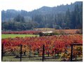 Colors of Fall