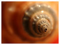 spiral