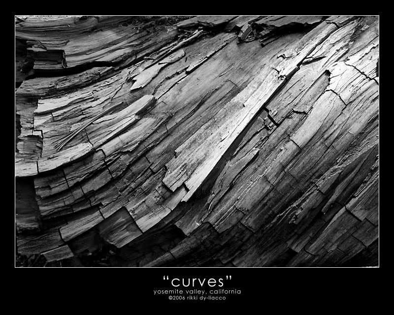 curves