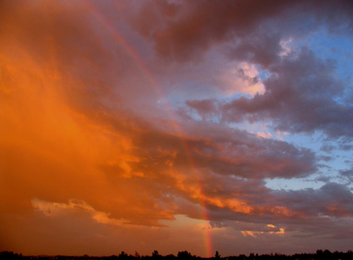 God's Promise