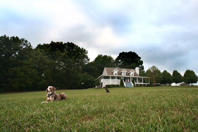 Home Sweet Home