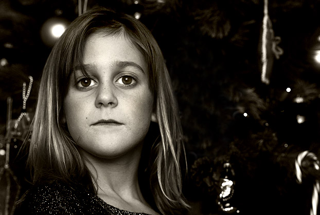 Holiday Holly