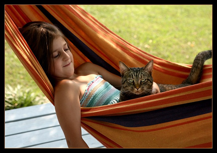 Holly Hammock