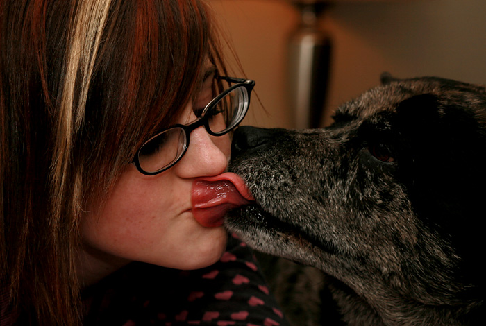 Dog Germs