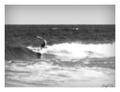 Kauai Surfer