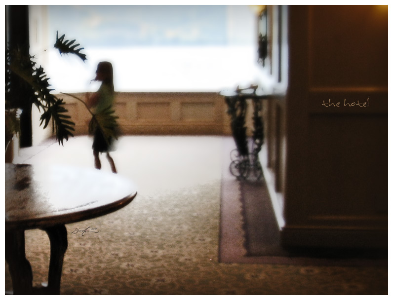 The Hotel