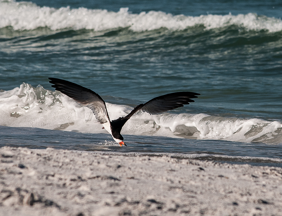 DSC_4641-Edit