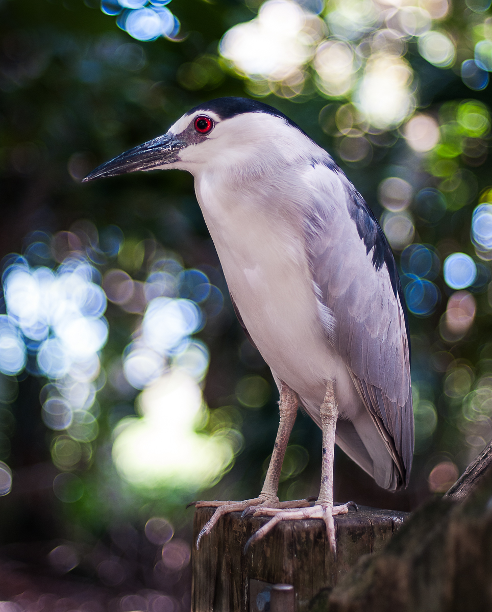 DSC_4666-Edit-2