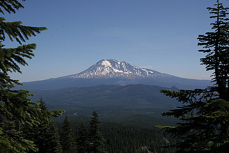 IMG_8768.jpg