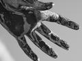 Hand of the Virgin