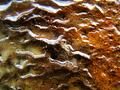 Beauty in the Rust Best 1