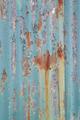 Beauty in the Rust Belt 4