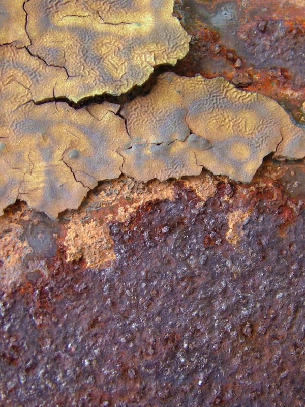 Rust Belt Beauty 3