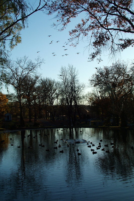 Cemetary Garden Pardise