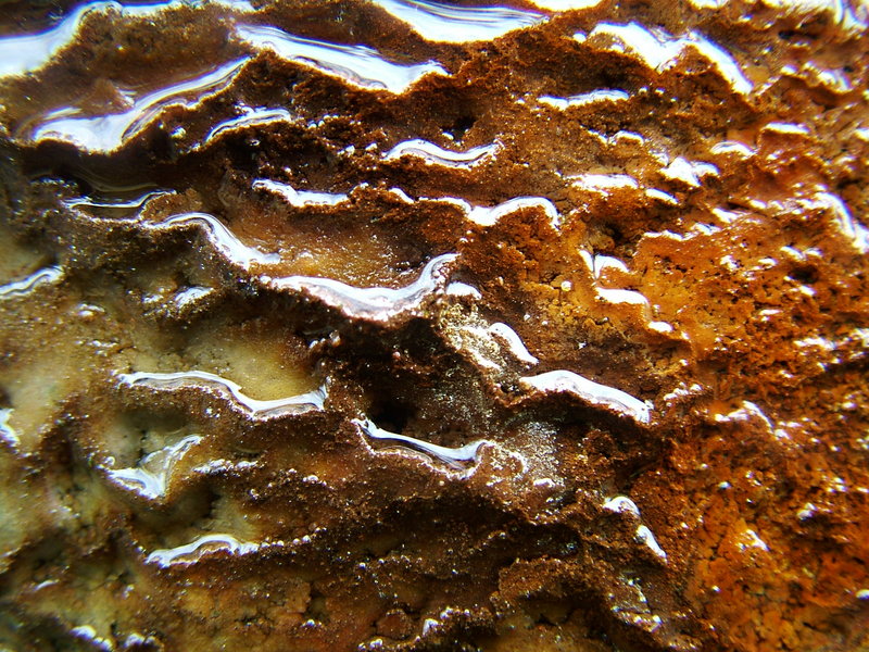 Beauty in the Rust Best 1
