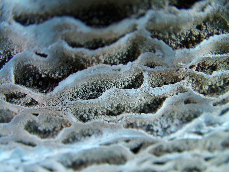 Granular Formations of Urban Decay