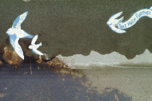 Peace Doves with Inspiration
