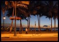 Waikiki Nights