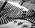 Beach Storm Fence