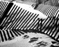 Beach Storm Fence