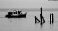 Boat Posts Small PS.jpg