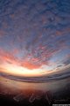 purple sunset.jpg