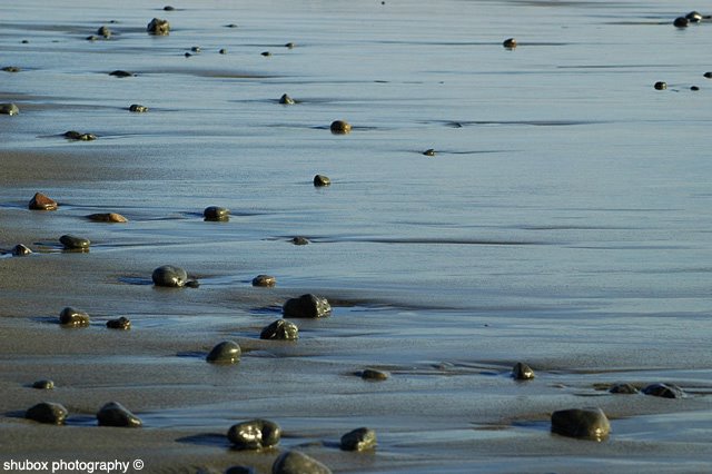 bodega bay rocks ps.jpg