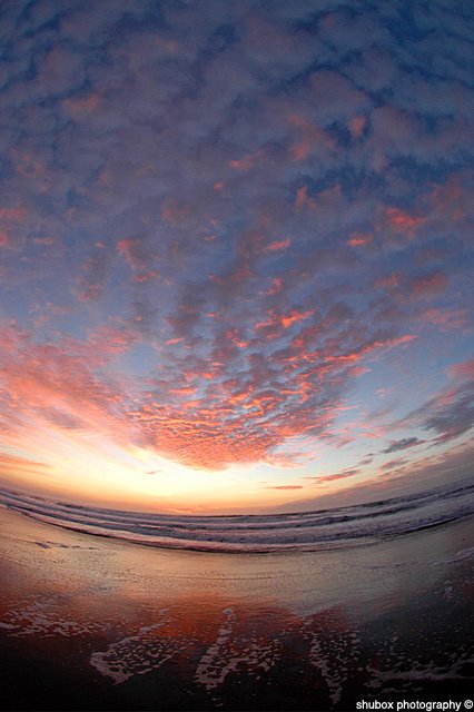 purple sunset.jpg