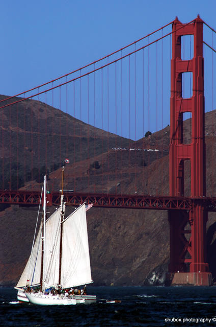Sailboat GG Bridge small.jpg
