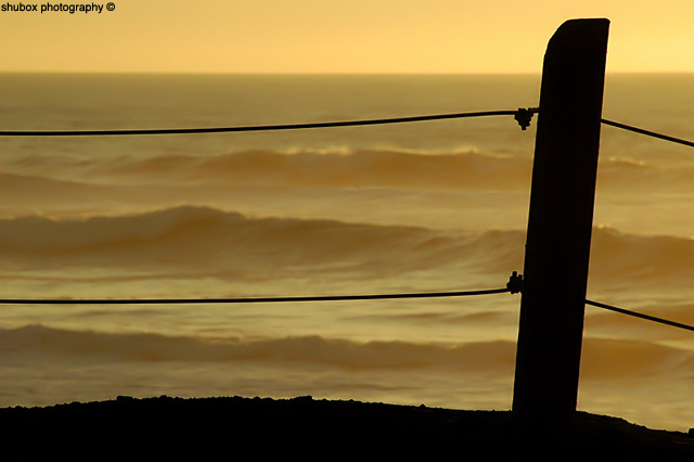 yellow sunset fence.0.jpg