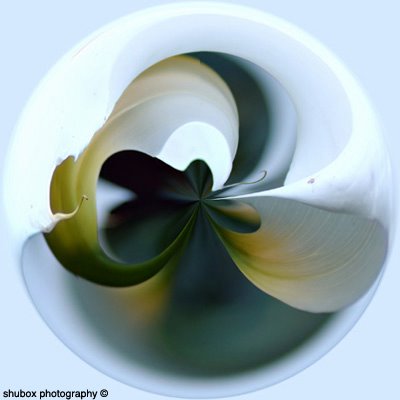 circle 3.0.jpg