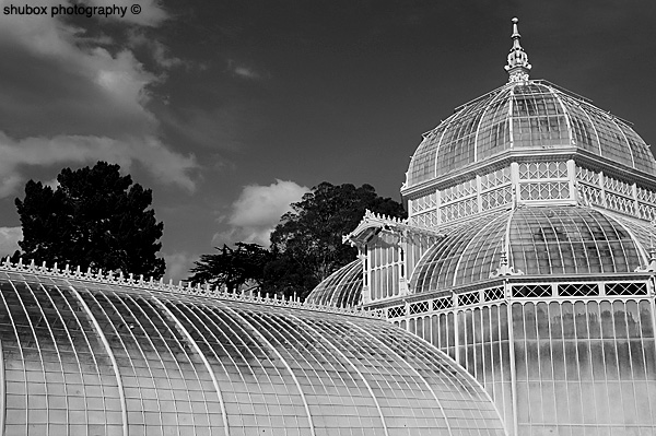 bw conservatory.jpg