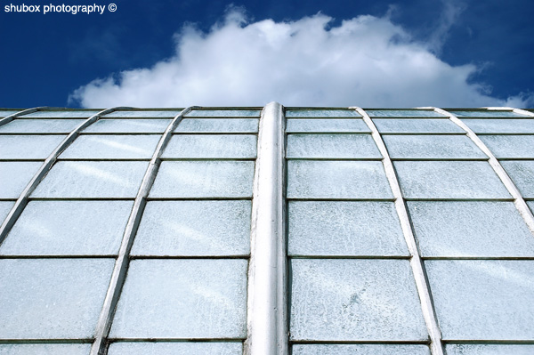 Flower Conservatory Upward.jpg
