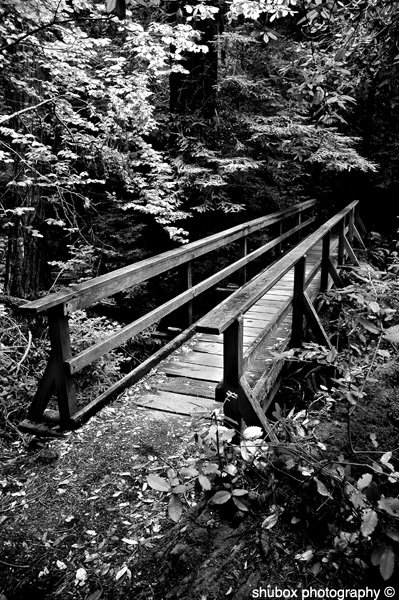 Trail Bridge.jpg