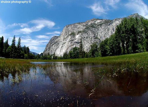 yosemite floor.jpg