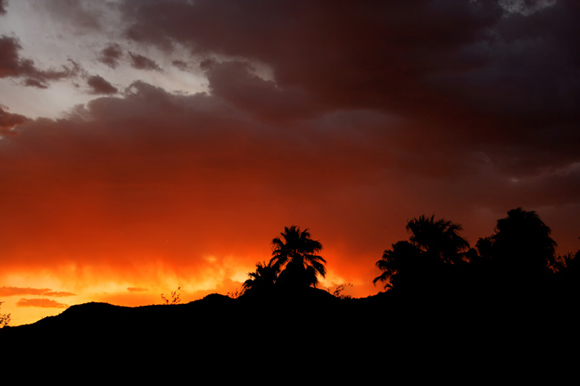 sunset