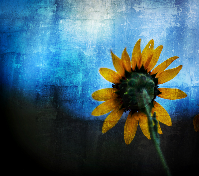 day 19 textured