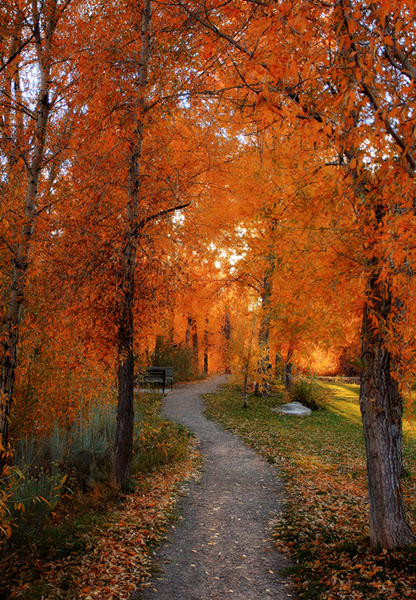 coloroado-path.jpg