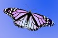 Pastel Butterfly