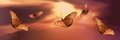 Butterflies at Sunset