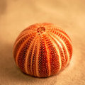 Urchin (square)