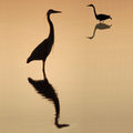 Heron Silouette (square)