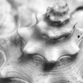 Spriral (square)